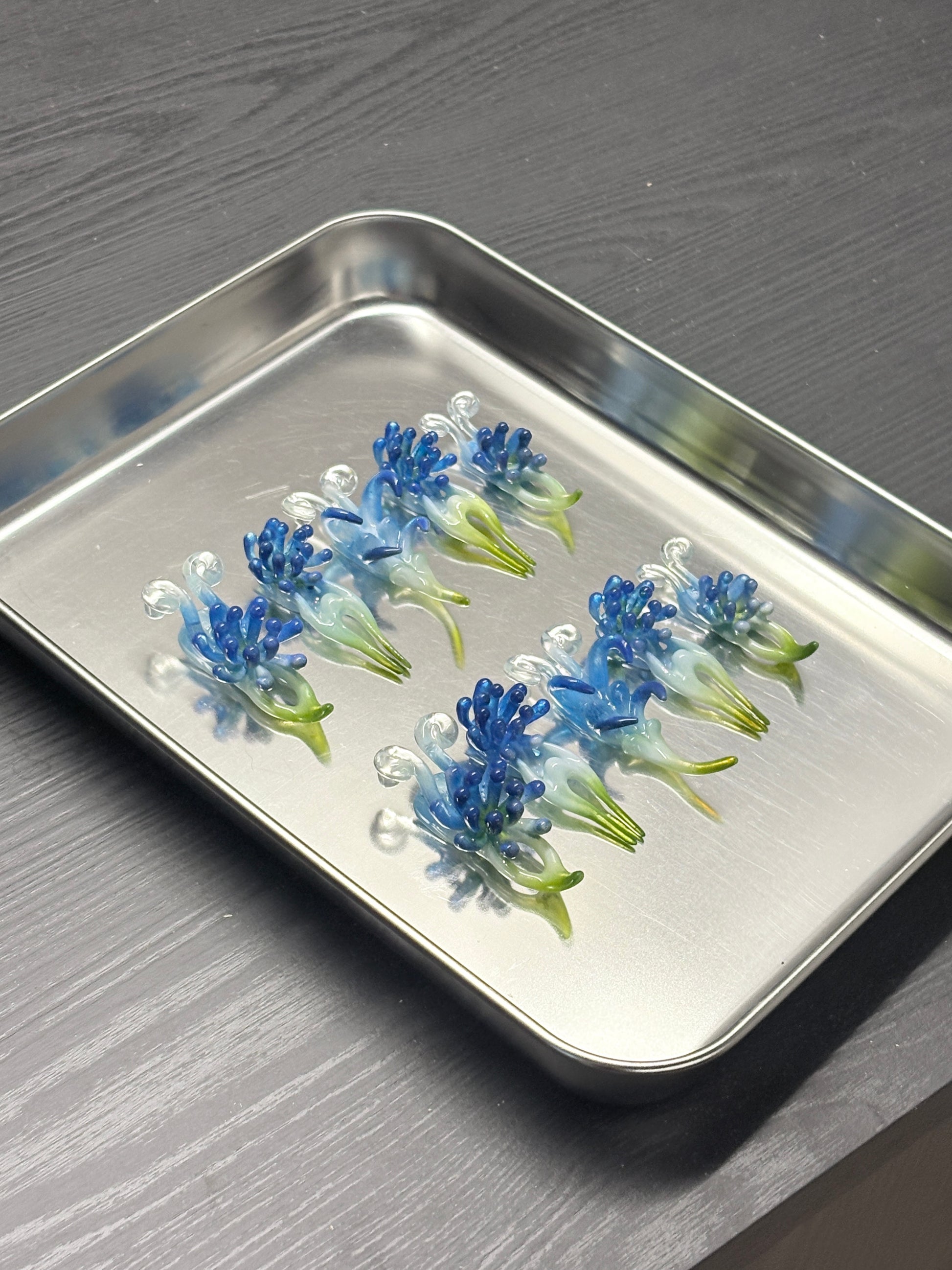 Aqua Flora
