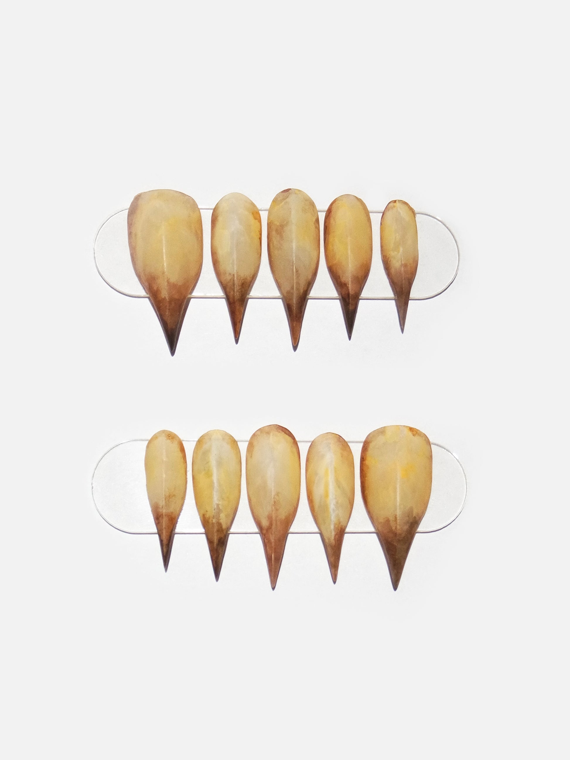 Futuristic claw shaped press-on nails with sand & amber gradient inspired by Dune aesthetic. sculptural nails, desert brown nail set by NAILTER EGO.