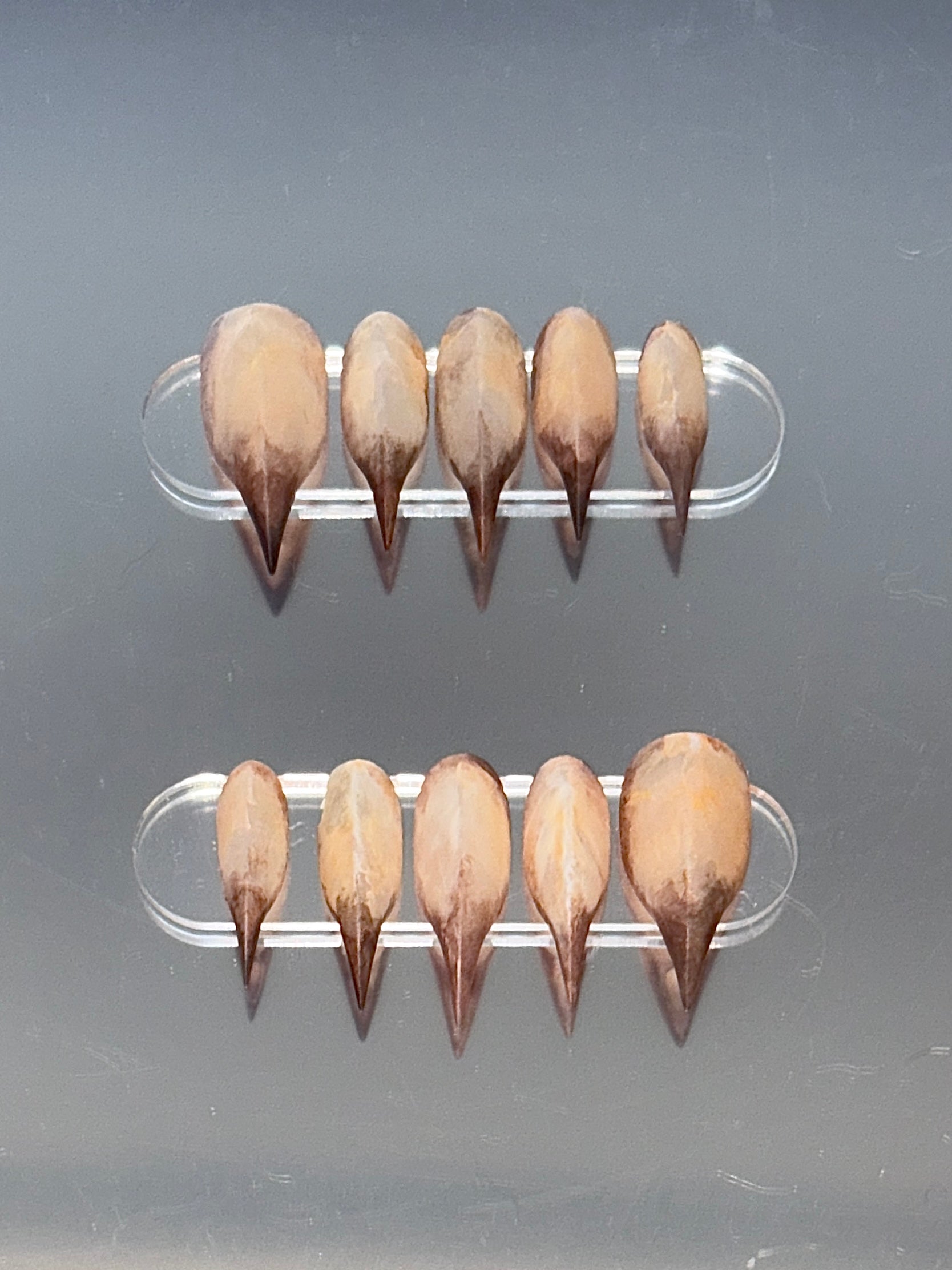 Amber fading into burnt desert brown claw shape nails, blending futuristic &amp; biomimicry for every vibrant alter ego.