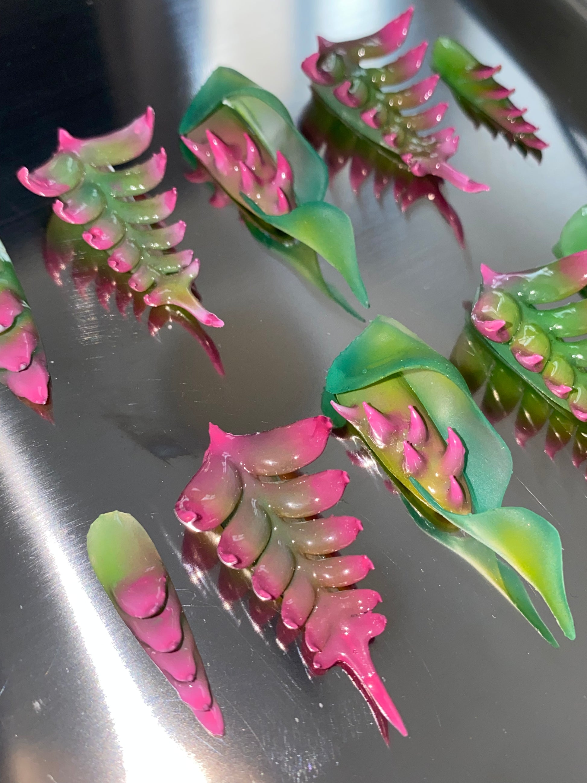 Venus Trap