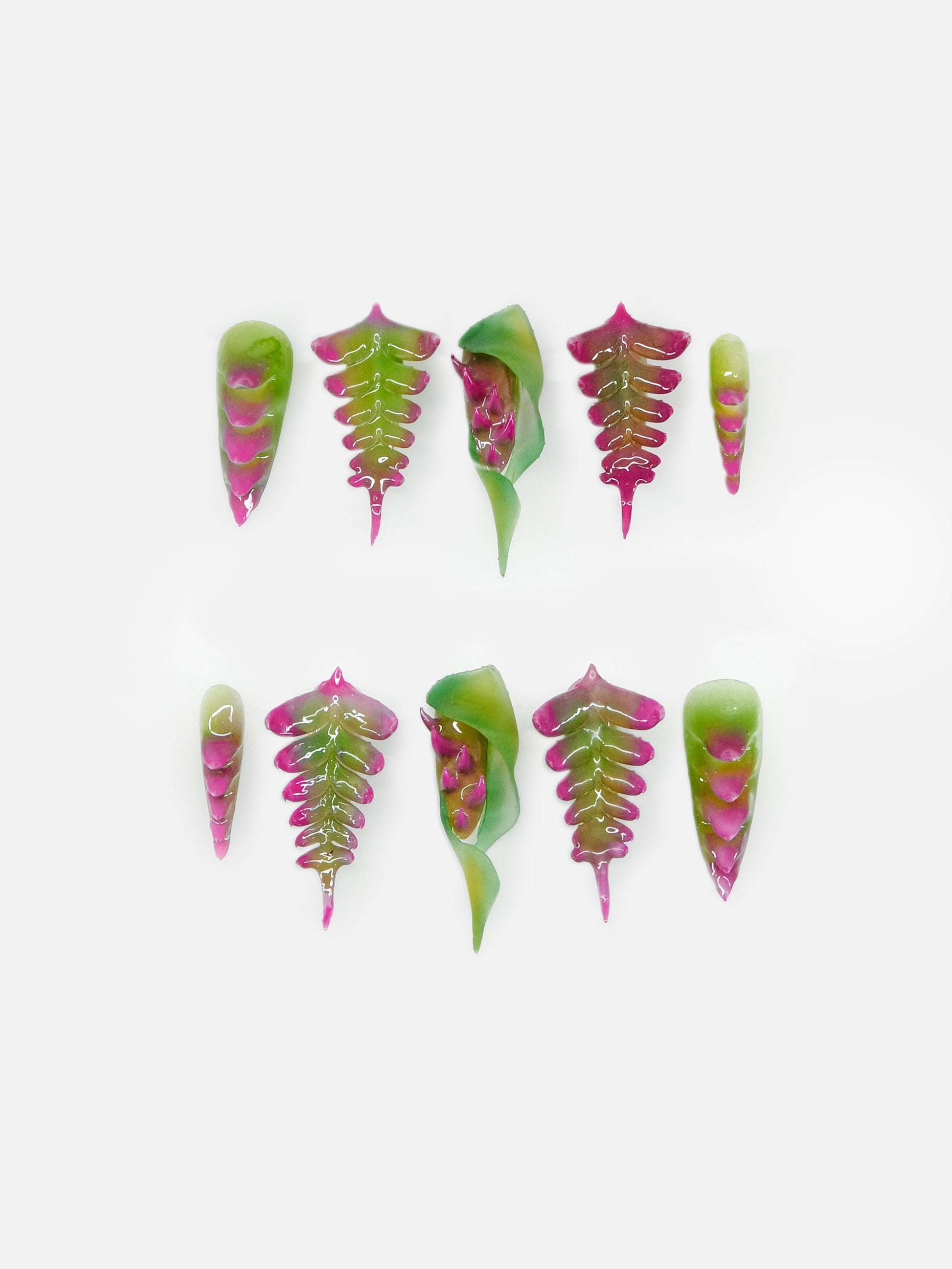 Venus Trap