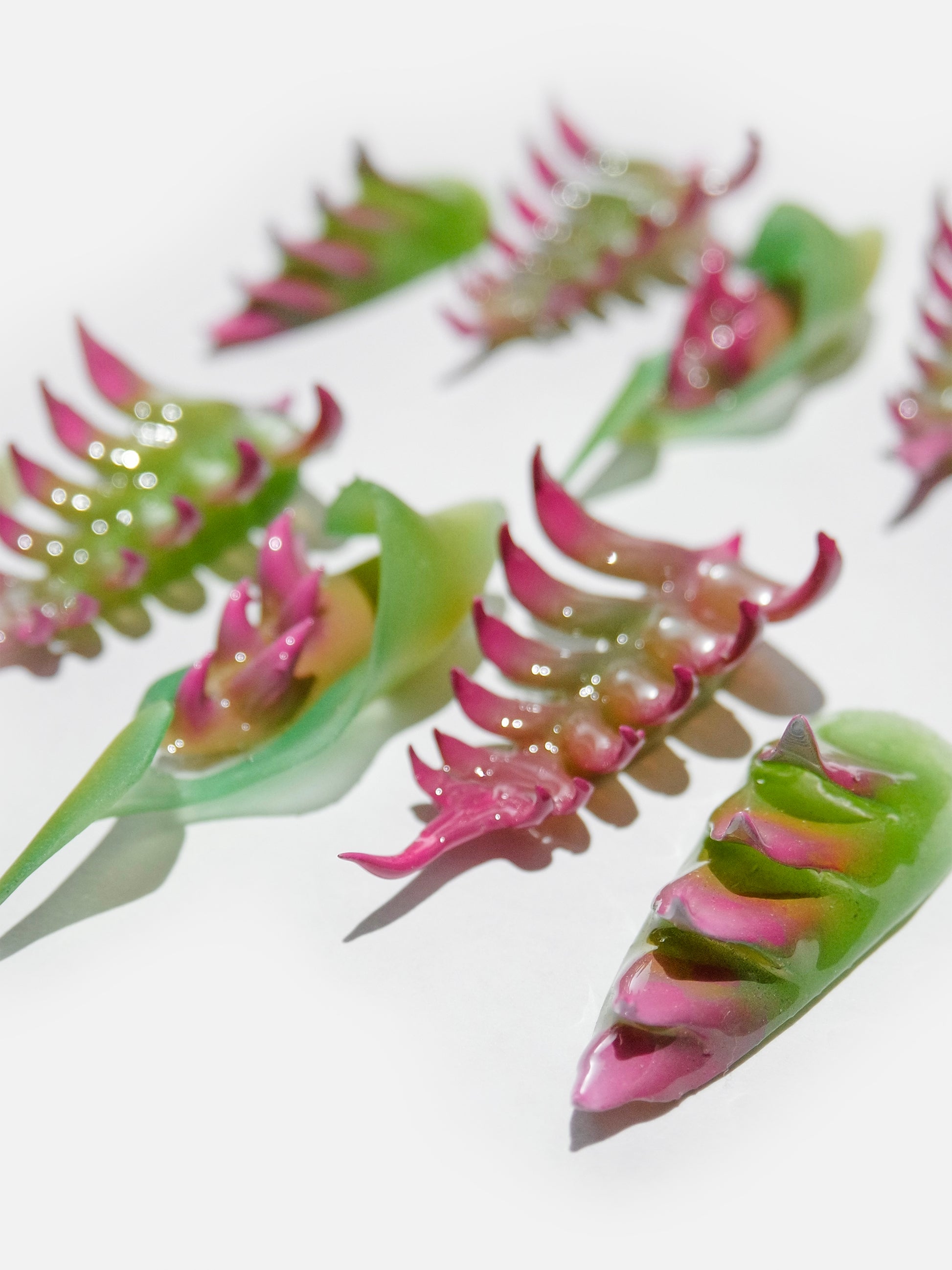 Venus Trap
